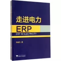 音像走进电力ERP寿猛生
