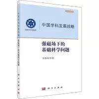 音像强磁场下的基础科学问题编