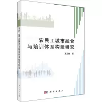 音像农民工城市融合与培训体系构建研究高玉峰