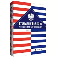 音像打造战略支点美对波兰剧变与转轨的影响研究)宋超