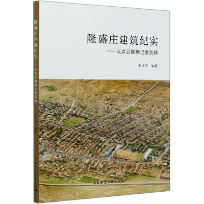 音像隆盛庄建筑纪实--以点云数据记录名镇王卓男