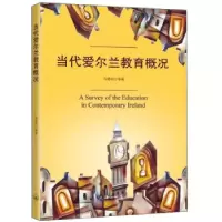 音像当代爱尔兰教育概况冯建明等