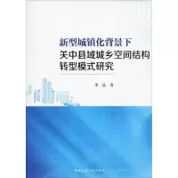 音像新型城镇化背景下关中县域城乡空间结构转型模式研究李晶