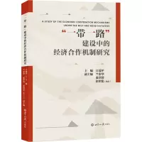 音像“”建设中的经济合作机制研究江瑞平 著