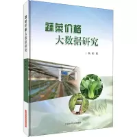 音像蔬菜价格大数据研究杨娟
