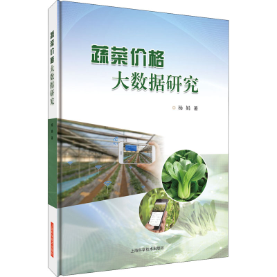 音像蔬菜价格大数据研究杨娟