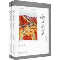 音像西北文学 小说卷(全2册)高鸿