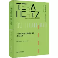 音像太赫兹表面等离激元现象及其应用陈麟
