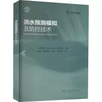 音像洪水预测模拟及防控技术(土)泽凯森