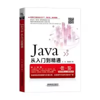 音像Java从入门到精通王征