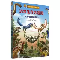 音像风神翼龙孵蛋记张伯赫,陈晓静