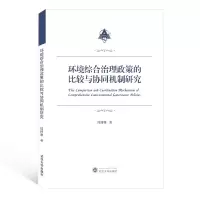 音像环境综合治理政策的比较与协同机制研究周博雅