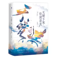 音像天暗下来,你就是光苏画弦