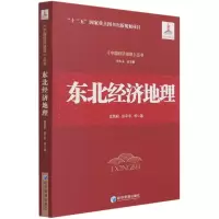 音像东北经济地理/中国经济地理丛书金凤君,张平宇