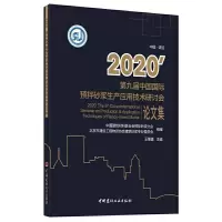 音像2020'第九届中国国际预拌砂浆生产应用技术研讨会集王肇嘉