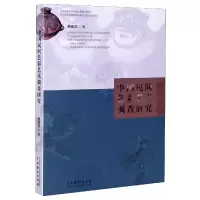 音像中国民间色彩艺术调查研究魏德君