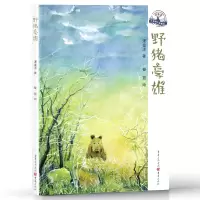 音像野猪豪雄浬鎏洋