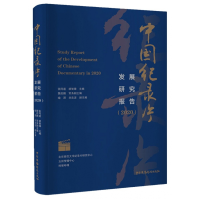 音像中国纪录片发展研究报告(2020)张同道胡智锋