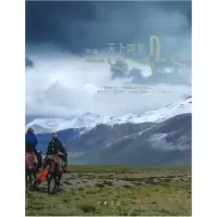 音像伏藏之天上阿里崔忆,宁心