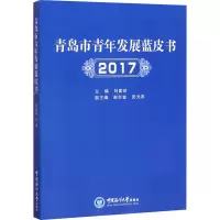 音像青岛市青年发展蓝皮书 2017刘富珍