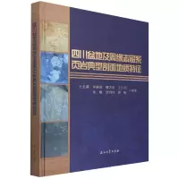 音像四川盆地及周缘志留系页岩典型剖面地质特征王玉满 等