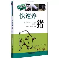 音像快速养猪(双色印刷)/高效养殖致富直通车魏刚才//郭小会