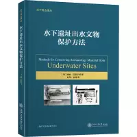 音像水下遗址出水文物保护方法(美)唐纳·汉密尔顿