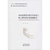 音像市民化进程中新生代农民工收入增长的长效机制研究周平
