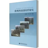 音像贵州西南部SBT研究刘建中 等