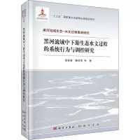 音像黑河流域中下游生态水文过程的系统行为与调控研究郑春苗 等