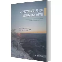 音像大兴安岭成矿带北段资源远景调查评价陈江 等