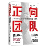 音像正向团队:如何成为一支正能量燃爆的队伍(美)乔恩·戈登
