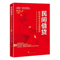 音像民间借贷:新型疑难复杂案例精选(修订版)上册王朝勇等主编
