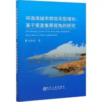 音像环渤海城市群效率型增长:基于要素集聚视角的研究张斯琴