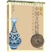 音像中国文化探秘 宋元 太平盛世与铁马向以鲜,王正可
