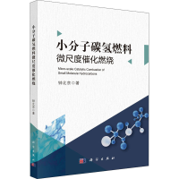 音像小分子碳氢燃料微尺度催化燃烧钟北京