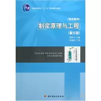 音像制浆原理与工程(普通高等教育十一五规划教材)詹怀宇