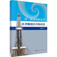 音像固-液两相流及其在井眼清洁中的应用张菲菲