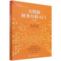 音像大数据财务分析入门(第2版)(美)吉姆·林德尔