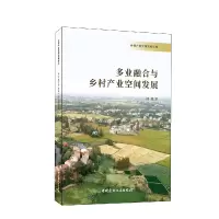 音像多业融合与乡村产业空间发展潘悦