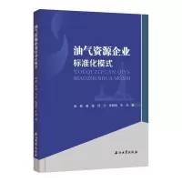 音像油气资源企业标准化模式庞敏