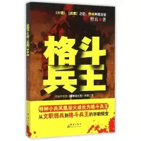 音像格斗兵王野兵