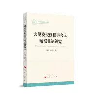 音像大规模侵权损害多元赔偿机制研究于定明著
