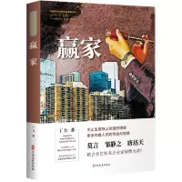 音像赢家/财经小说系列/中国专业作家作品典藏文库丁力著