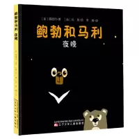 音像夜晚(精)/鲍勃和马利德迪约著玛黑 绘