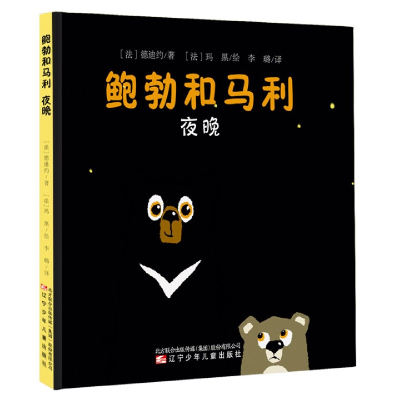 音像夜晚(精)/鲍勃和马利德迪约著玛黑 绘