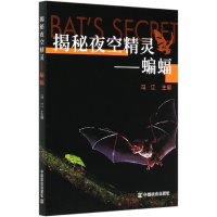 音像揭秘夜空精灵--蝙蝠编者:冯江|责编:周锦玉//王森鹤
