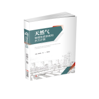 音像天然气物理质参数和水力计算苑伟民,贺三,邵国亮