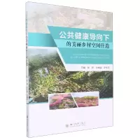 音像公共健康导向下的美丽乡村空间营造张萍 付而康 许桐浩