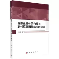 音像普惠金融体系构建与农村反贫困战略协同研究王小华等